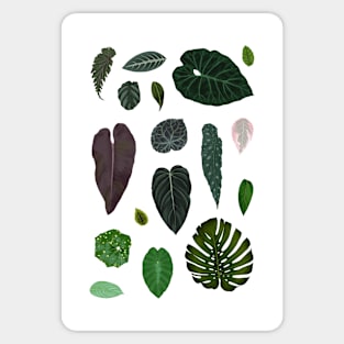 Leaf Pattern Sticker